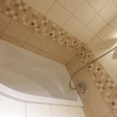 V Soukromi U Podebrad Gasthuis 3*
