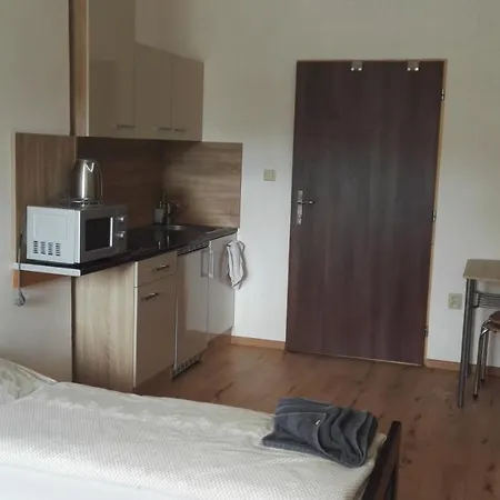 V Soukromi U Podebrad Gasthof