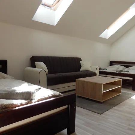 V Soukromi U Podebrad Gasthuis 3*