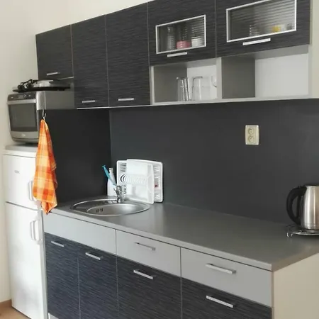 Gasthof V Soukromi U Podebrad Opolany