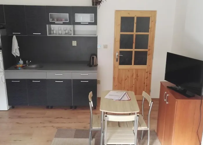 V Soukromí U Poděbrad 3* Opolany